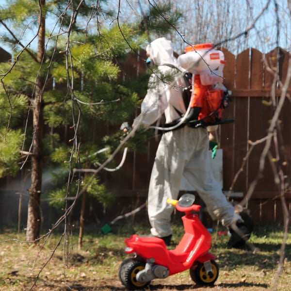 Обработка участка от клещей в Новошахтинске?